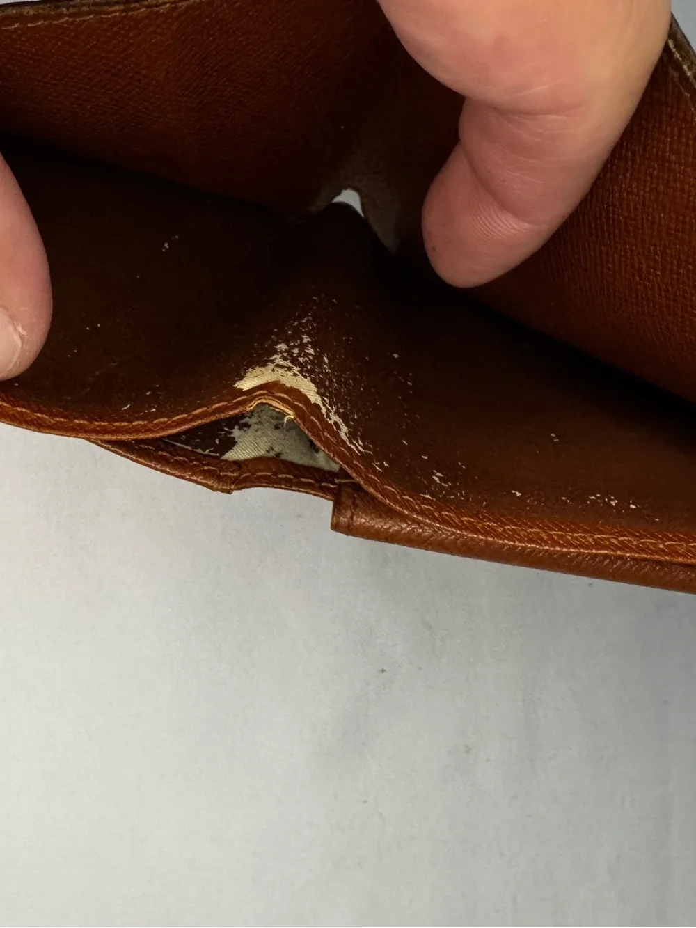 Louis Vuitton classic louis